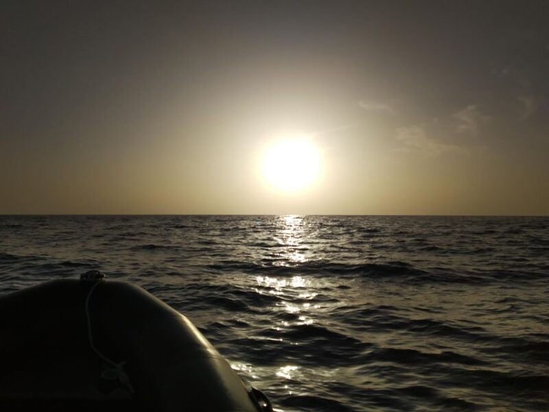 Zodiac Adventure: Snorkeling or Paddle Surfing Excursion - Inclusions and Amenities