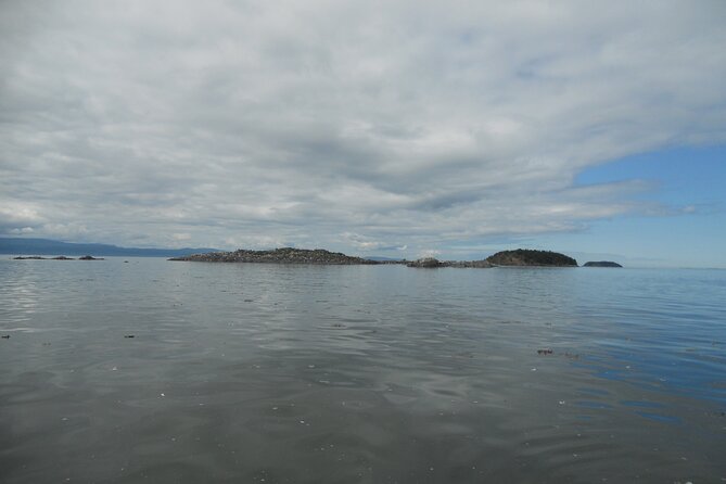 Zodiac Discovery of the Kamouraska Islands - Preparing for the Adventure