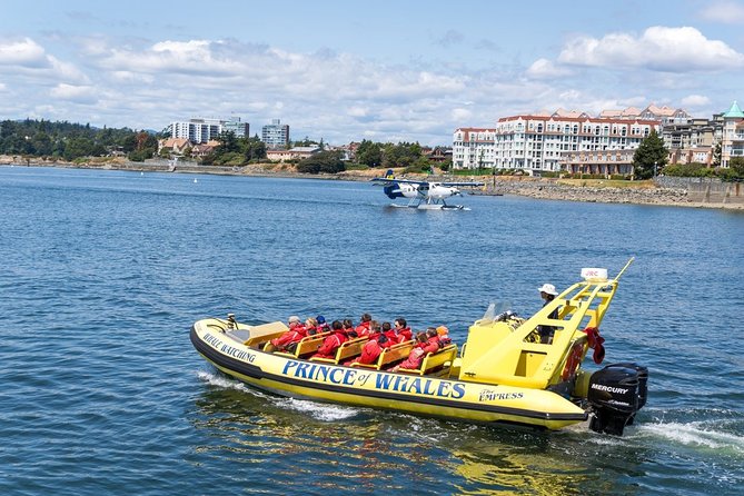 Zodiac Whale Watching Adventure From Victoria - Salish Sea Conservation Fee