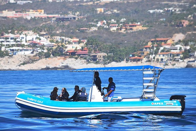 Zodiac Whale Watching Adventure - Incl FREE Photos & Whale Sightings Guarantee - Meeting Point