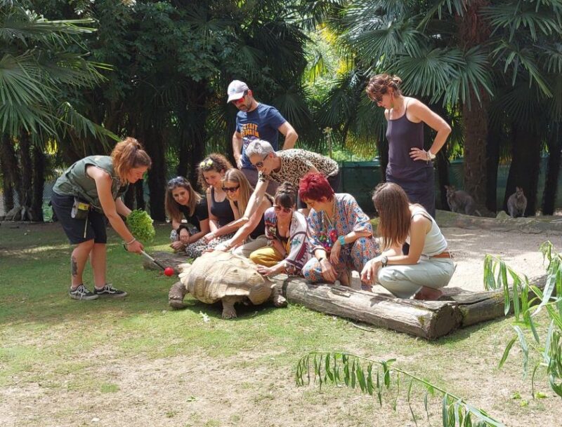 Zoo Al Maglio: 1-Day Ticket for the Jungle of Ticino - Unforgettable Experiences at the Zoo