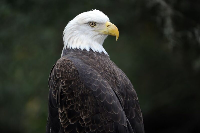 Zoo Miami: General Admission Ticket - Notable Animal Exhibits