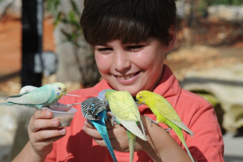 Zoo Miami: General Admission Ticket - Visitor Experiences and Activities