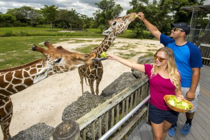 Zoo Miami: General Admission Ticket - Visitor Ratings and Feedback