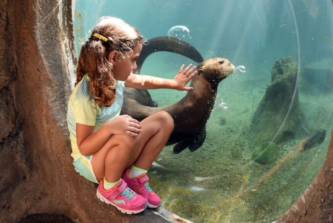Zoo Miami: General Admission Ticket - Plan Your Visit