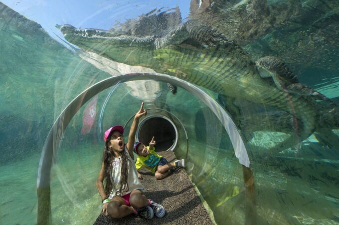 Zoo Miami: General Admission Ticket - Frequently Asked Questions