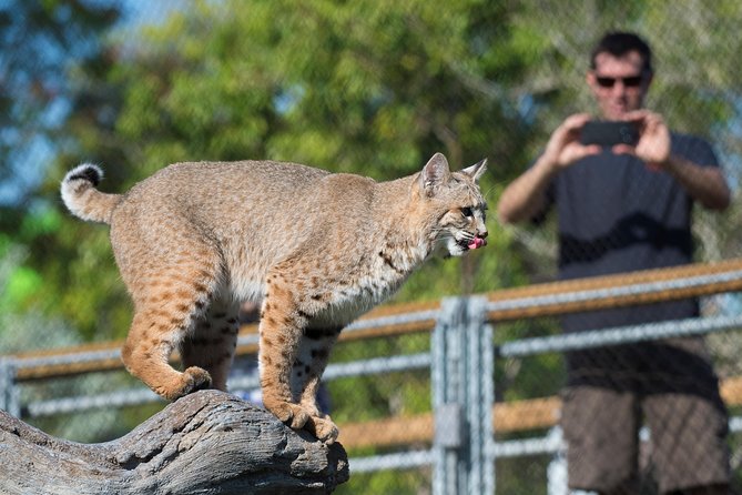 Zoo Miami Ticket With Optional Upgrade - Accessibility and Fitness Requirements