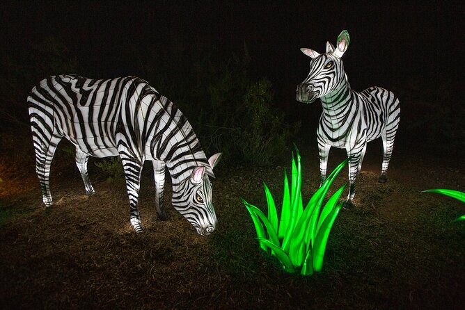 ZooLights Phoenix Zoo - Event Highlights