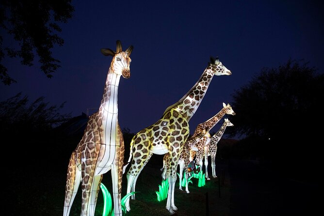 ZooLights Phoenix Zoo - Frequently Asked Questions