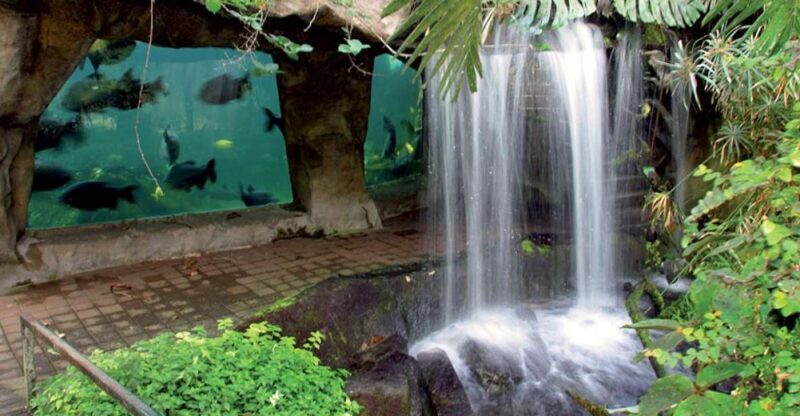 Zooparc De Beauval: Day Admission Ticket - Key Points