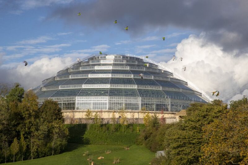 Zooparc De Beauval: Day Admission Ticket - Key Attractions at the Zoo