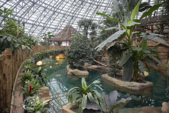 Zooparc De Beauval: Day Admission Ticket - Frequently Asked Questions