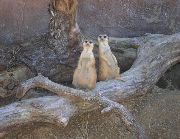 ZooTampa at Lowry Park Admission Ticket - Conservation and Education