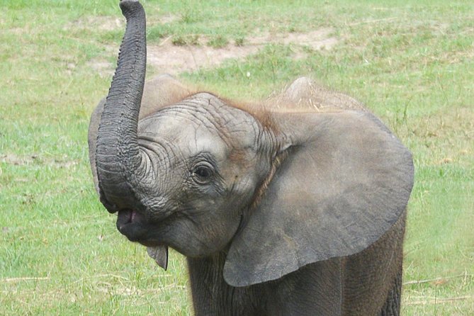 ZooTampa at Lowry Park Admission Ticket - Visitor Reviews