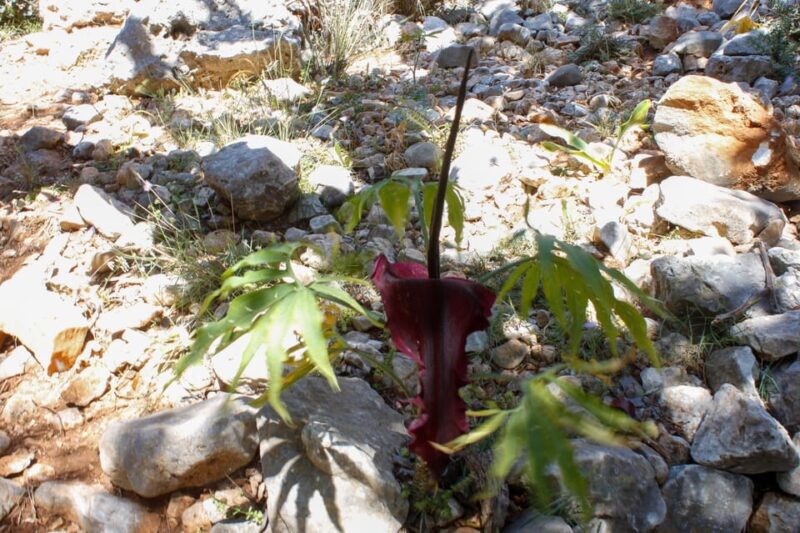 Zorbas the Greek Beach. Gouverneto Monastery Half Day Hiking - Historical Insights