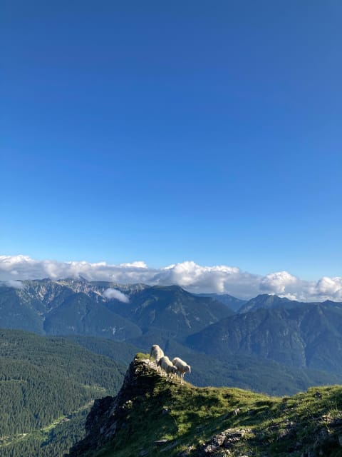 Zugspitze: Hiking Down via Gatterl to Ehrwald - Experience Highlights