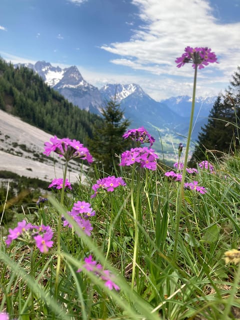 Zugspitze: Hiking Down via Gatterl to Ehrwald - Difficulty Level