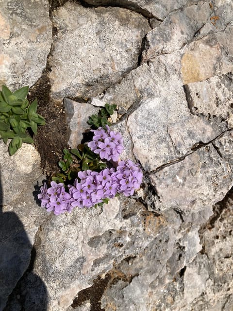 Zugspitze: Hiking Down via Gatterl to Ehrwald - Additional Tips