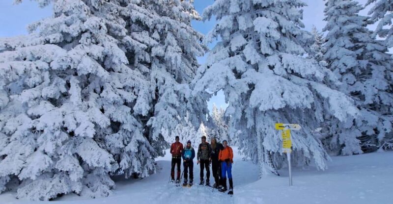 Zugspitze: Snow Shoe Tour and Instruction in Ehrwald - Restrictions