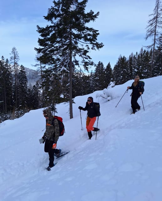 Zugspitze: Snow Shoe Tour and Instruction in Ehrwald - Frequently Asked Questions