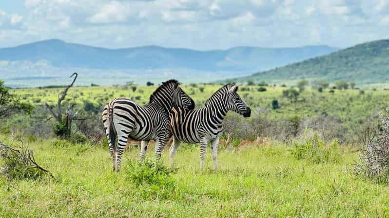Zululand - South Africa: Family Photographic Safari - Key Points