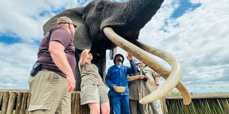 Zululand - South Africa: Family Photographic Safari - Wildlife Encounters