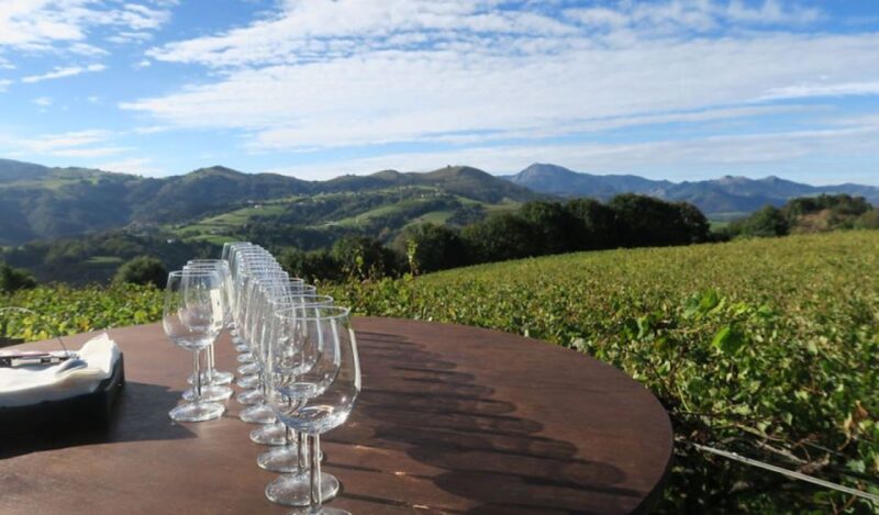 Zumaia: Basque Wine Region and Cliffs Private Tour - Discovering Basque Country