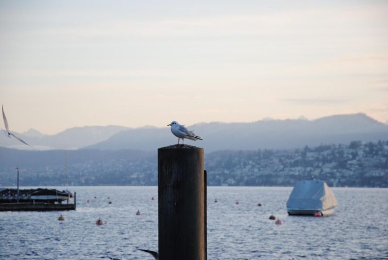 Zurich: 360° City Walk Including Hidden Spots - Tasting Swiss Specialties