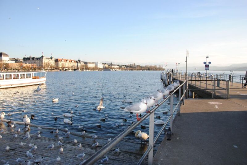 Zurich: 360° City Walk Including Hidden Spots - Tips for Exploring Zurich