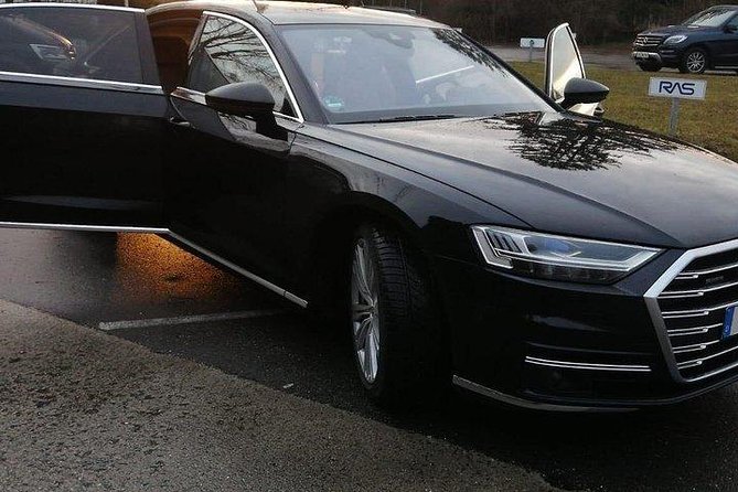 Zurich Airport Transfer: Zurich Airport (ZRH) to Zurich - Luggage and Accessibility