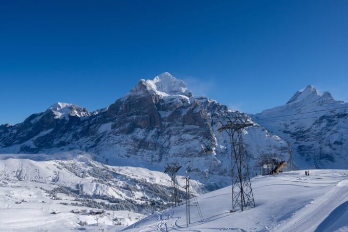 Zurich: Alps, Grindelwald, Lauterbrunnen & Interlaken Tour - Booking Options and Flexibility