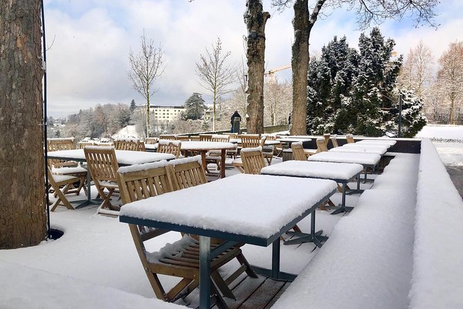 Zurich and Surroundings (Private Tour) - Scenic Surroundings