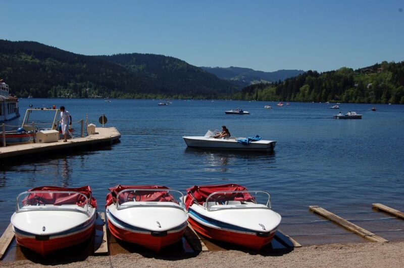 Zurich: Black Forest, Titisee, and Rhine Falls Bus Day Trip - Exploring Titisee and Boat Ride