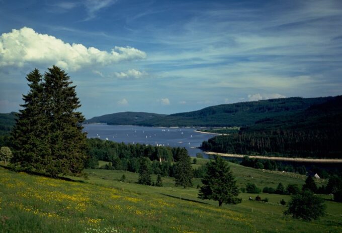 Zurich: Black Forest, Titisee, and Rhine Falls Bus Day Trip - Boat Cruise at Rhine Falls