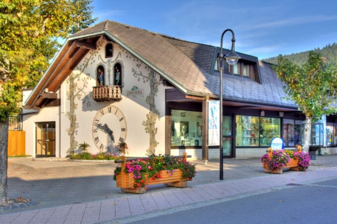 Zurich: Black Forest, Titisee, and Rhine Falls Bus Day Trip - Frequently Asked Questions