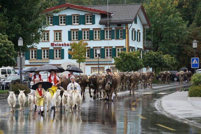 Zürich Car Tour: Appenzell, Ebenalp, St. Gallen - Lake Constance