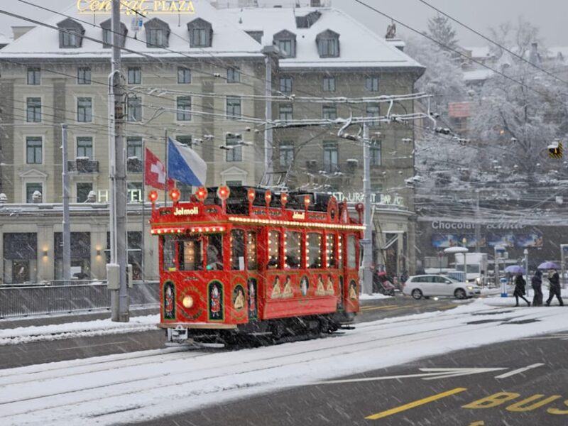 Zurich Christmas Market Tour - Tour Highlights