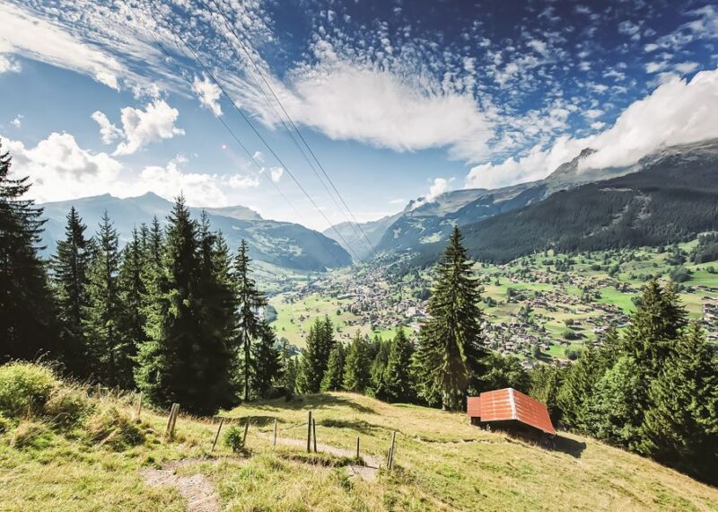 Zurich: Day Trip to Grindelwald & Interlaken by Bus & Train - Inclusions