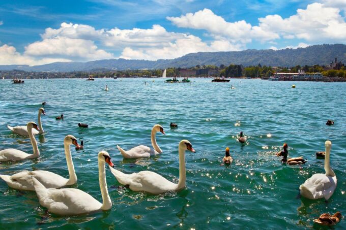 Zurich Highlights Self-Guided Scavenger Hunt and Tour - Using Logic and Teamwork