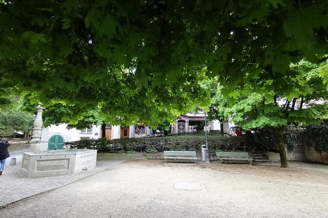 Zurich Historic District Tour - Highlights of the Tour