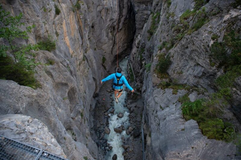 Zurich: Interlaken & Canyon Swing From Grindelwald Day Trip - Inclusions