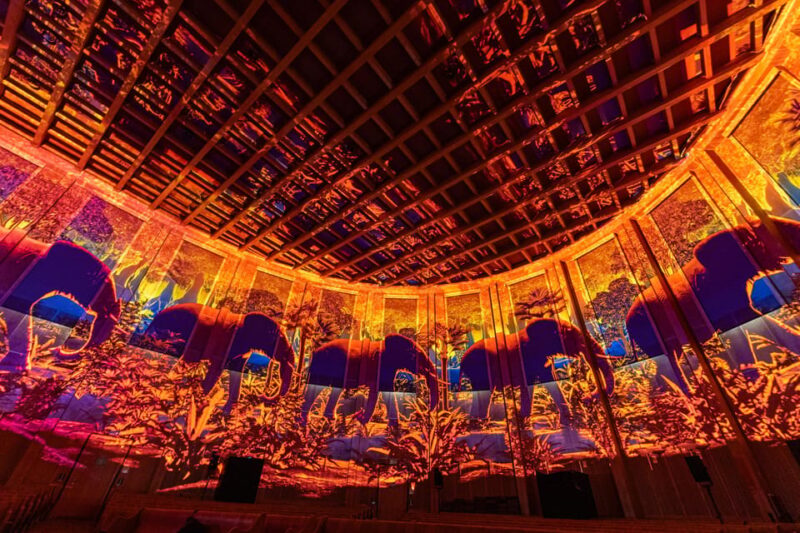 Zurich: Pixel Zoo Jungle - an Immersive Journey Through the Rainforests - Key Points