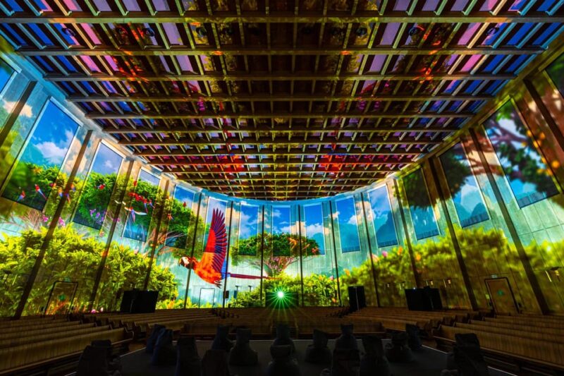 Zurich: Pixel Zoo Jungle - an Immersive Journey Through the Rainforests - Highlights of the Pixel Zoo Jungle Experience