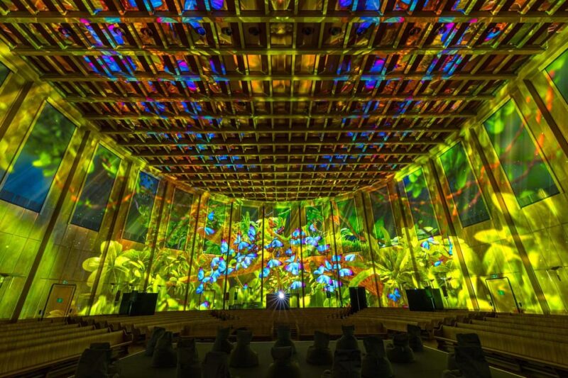 Zurich: Pixel Zoo Jungle - an Immersive Journey Through the Rainforests - Animal Encounters in the Rainforest