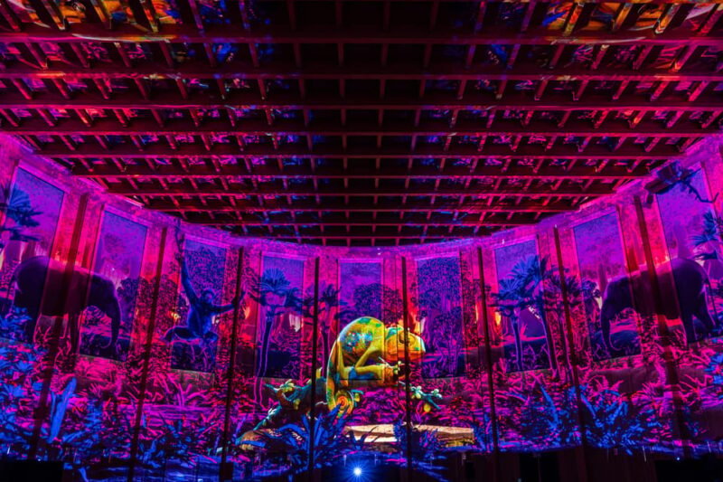 Zurich: Pixel Zoo Jungle - an Immersive Journey Through the Rainforests - Accessibility and Language Considerations