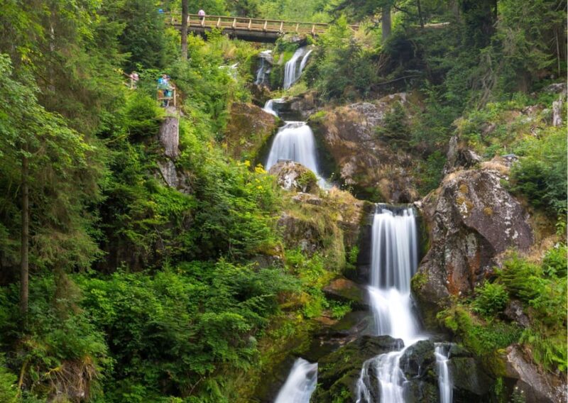 Zurich: Private Car Tour - Rhine Falls, Titisee & Black Forest - Exploring Rhine Falls