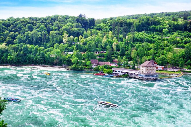 Zürich: Private Car Tour to Rhine Falls, Titisee and Black Forest - Inclusions