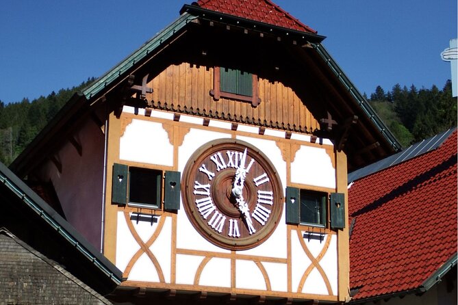 Zürich: Private Car Tour to Rhine Falls, Titisee and Black Forest - Customer Reviews
