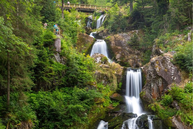 Zürich: Private Car Tour to Rhine Falls, Titisee and Black Forest - Considerations for Booking