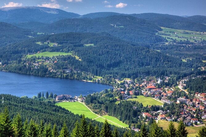 Zürich: Private Car Tour to Rhine Falls, Titisee and Black Forest - Recap